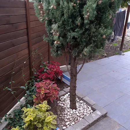 Petit Maison Avec Jardin * Roquettes