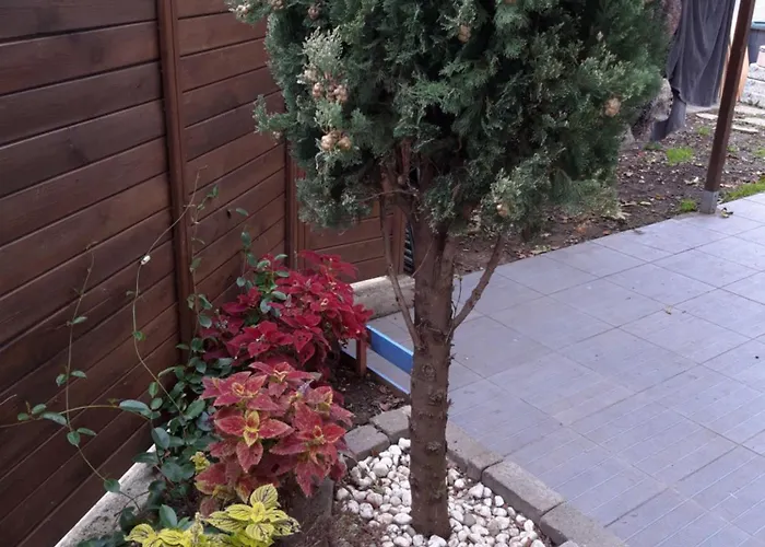 Petit Maison Avec Jardin * Roquettes